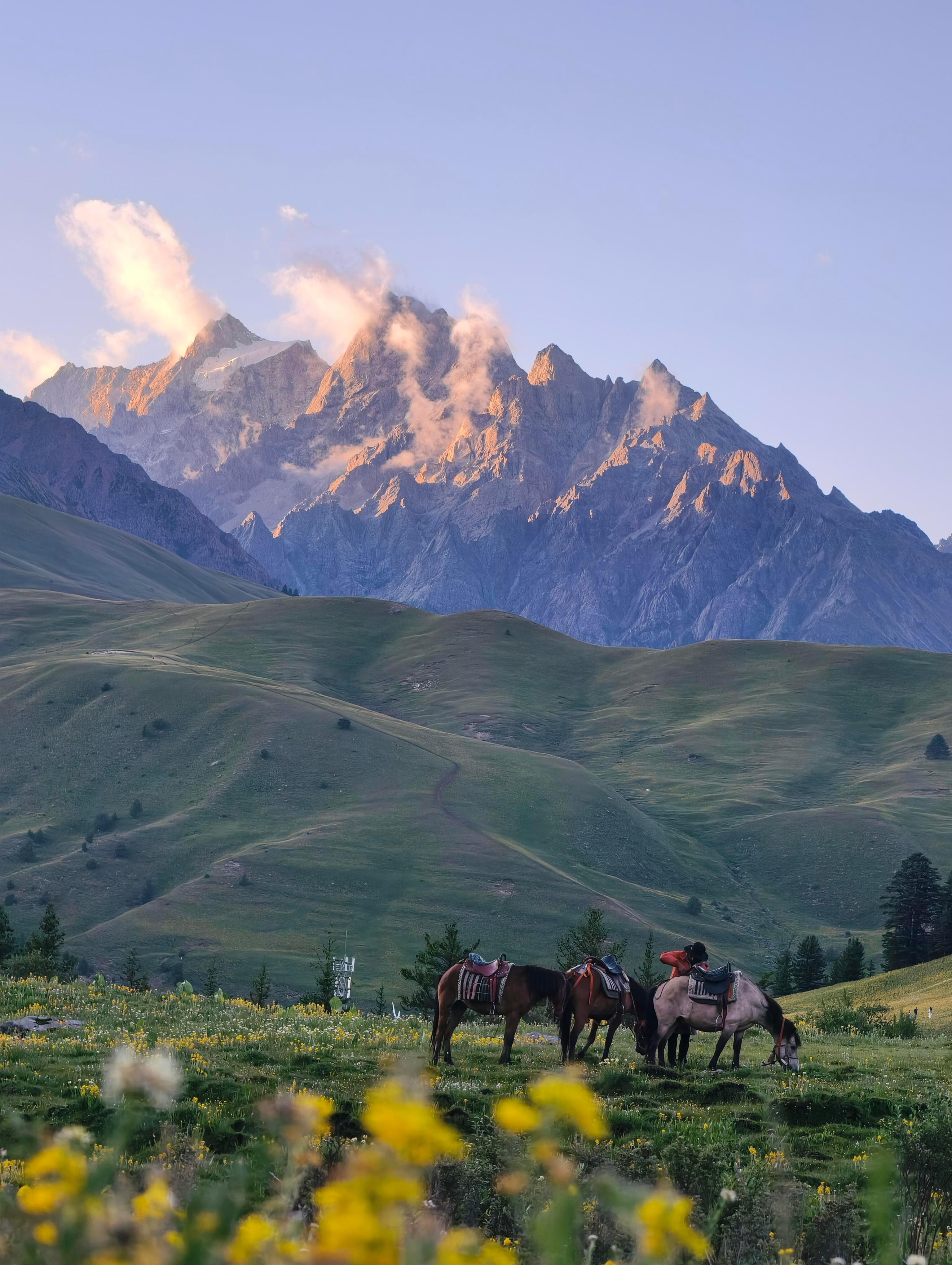 总要去一趟川西吧🏔️ ​​​