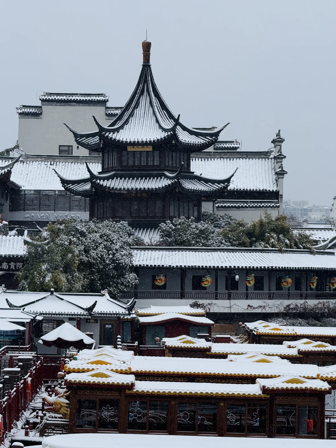 1.20号实拍！南京大雪已经杀疯了！！！！！