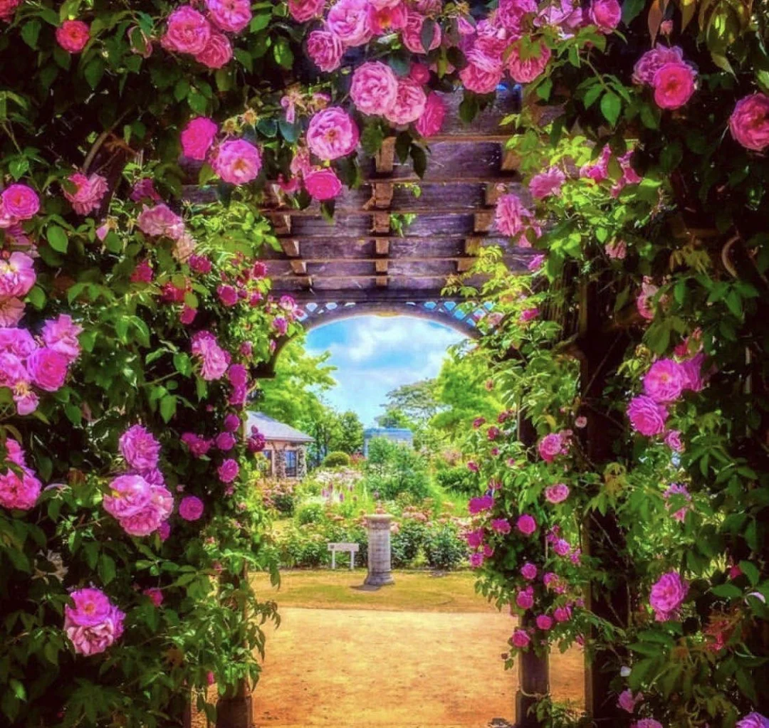 日本滋贺县丨养眼又实用的公园柳崎湖畔公园