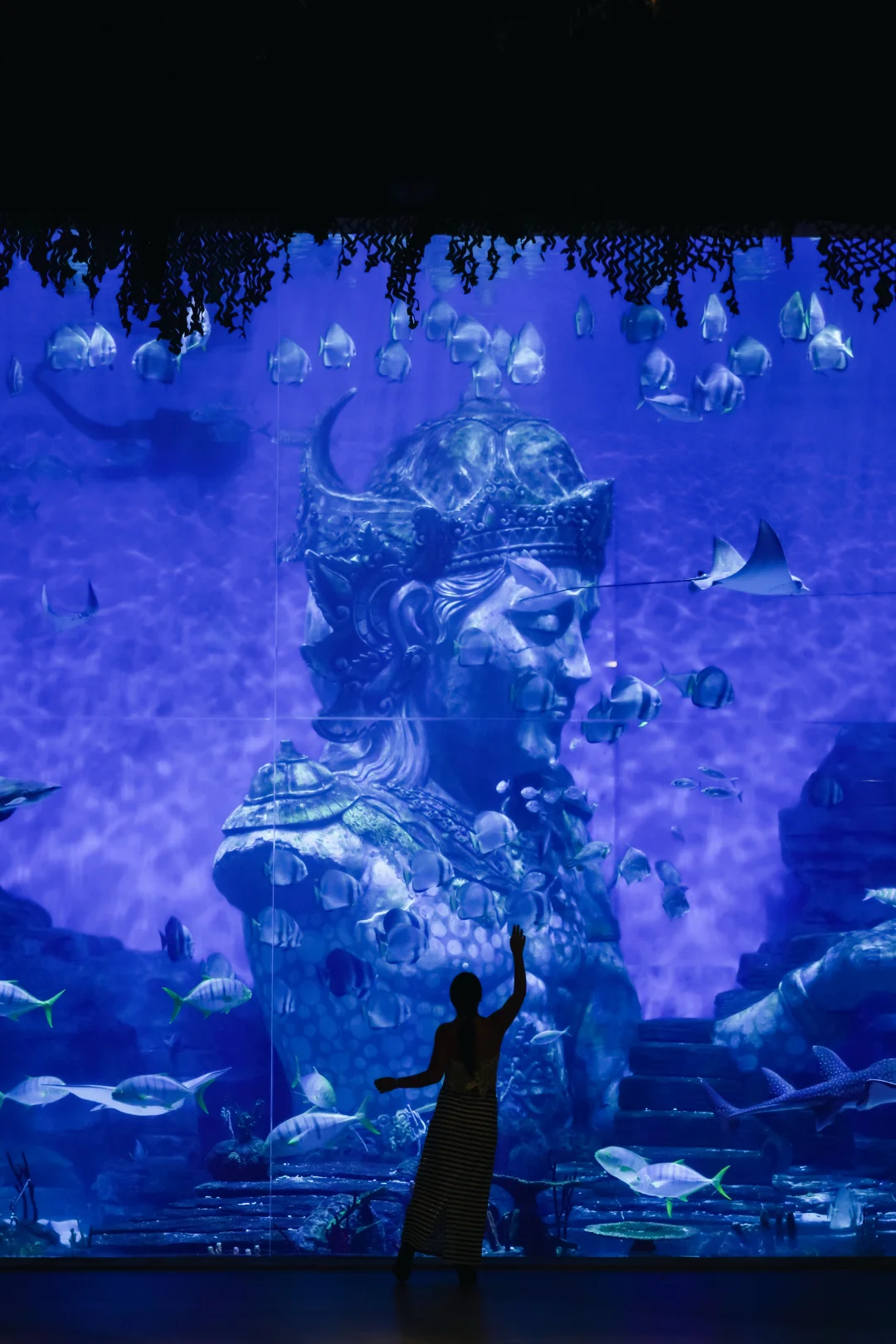 又挖到宝❗️值得二刷的巴厘岛海洋野生动物园