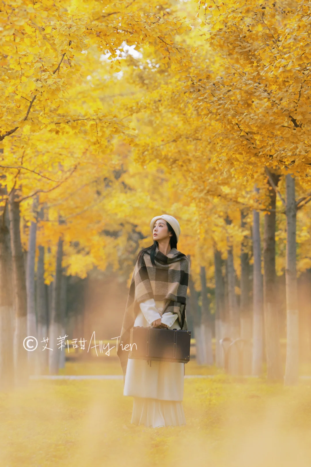 发现了人少出片的银杏林！附树叶绿改黄教程