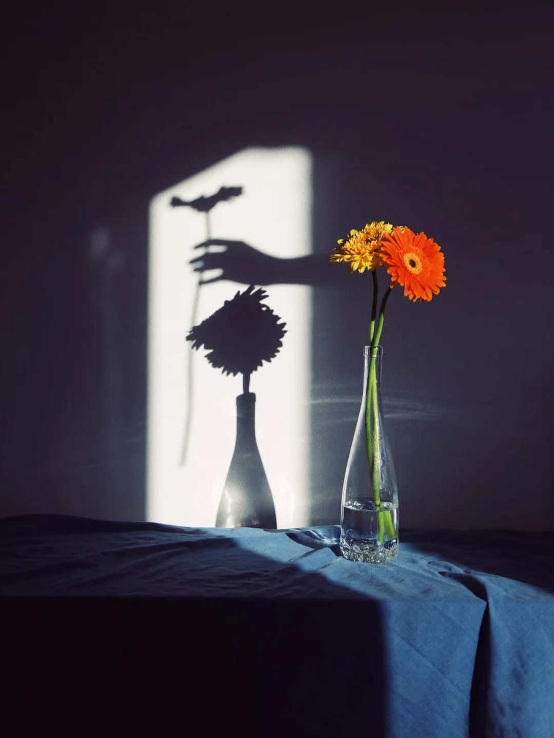 【摄影审美提升】-Delfina Carmon作品解析