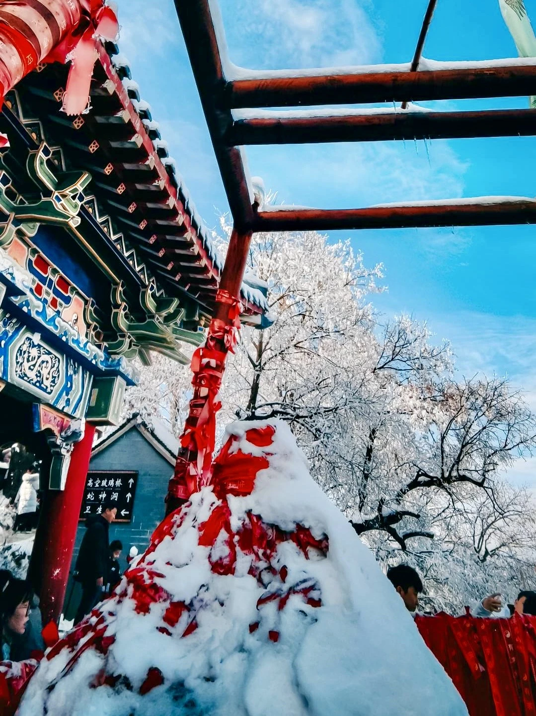 来老君山，住进山下3公里的新开艺术栖所🏔