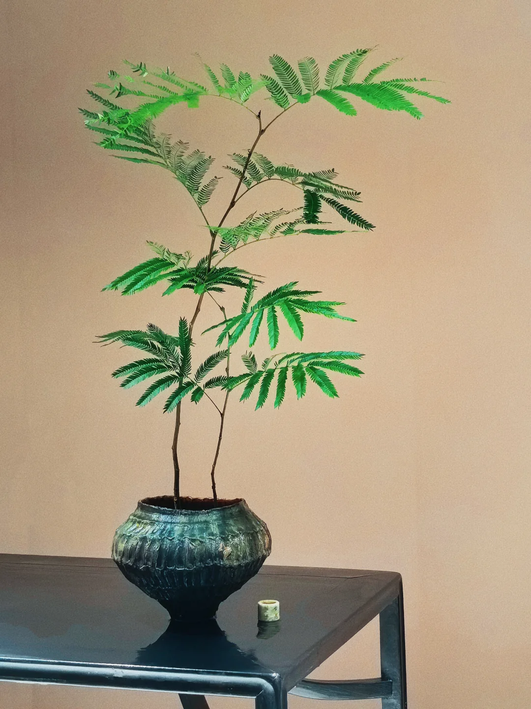 “没点艺术细胞还真刷不到我”