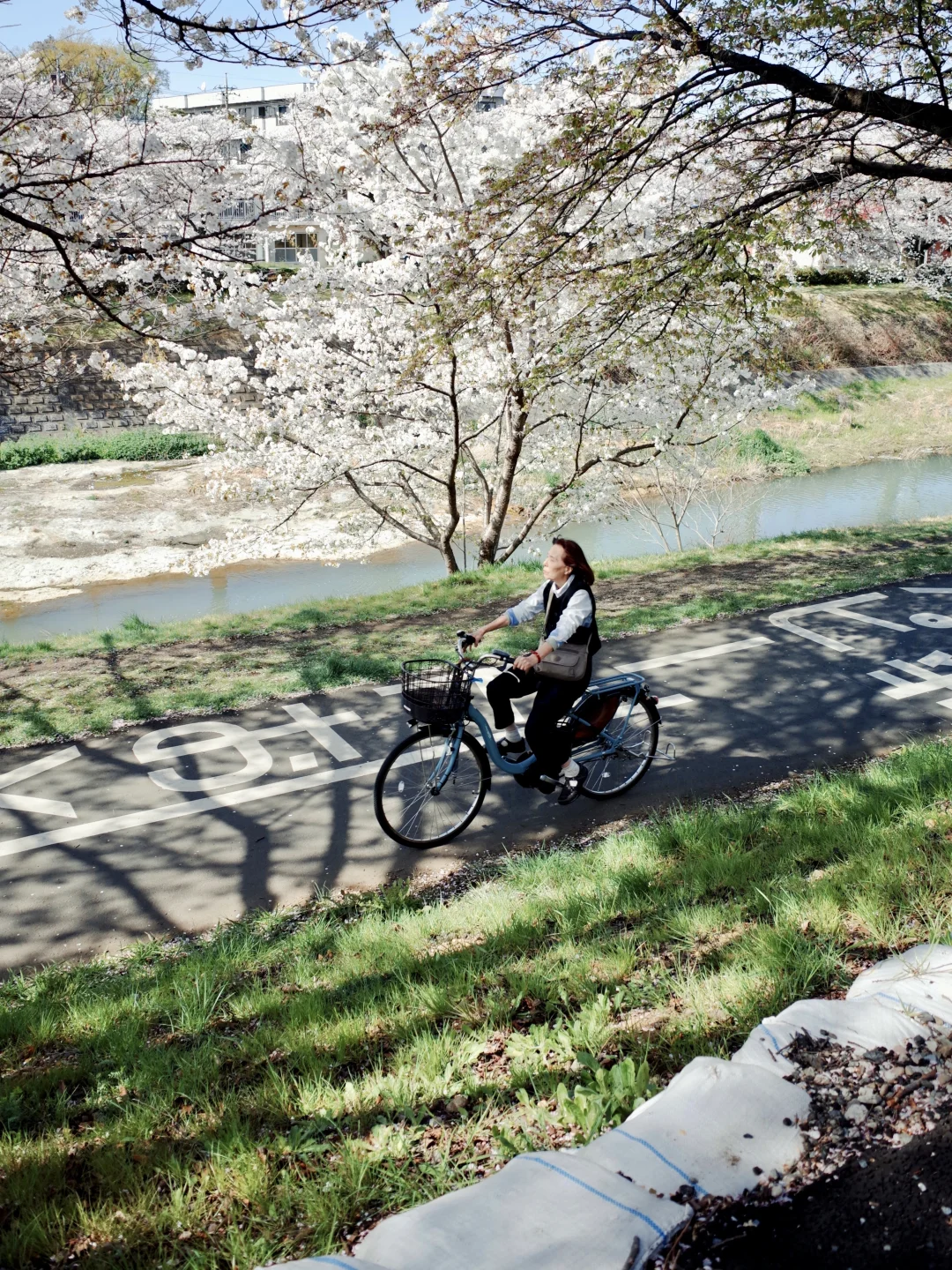 28mm视角下的春天