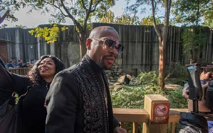 49岁的拳坛传奇梅威瑟，真没钱了？职业生涯他50战50胜，27次KO对...