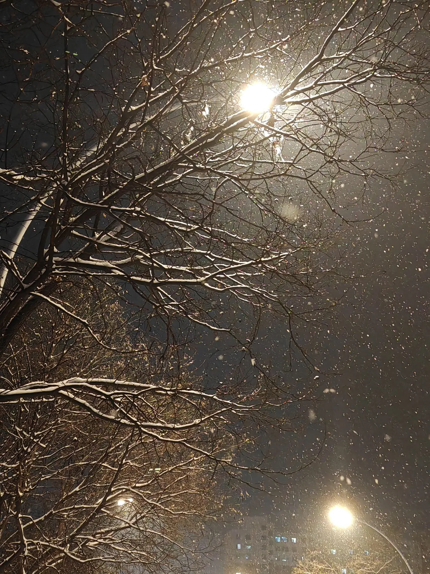 成年人的分寸感        是一种点到为止的沉默”