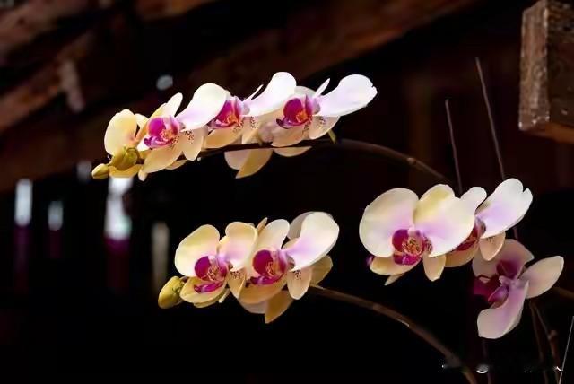 爆款揭秘：高情商夫妻都这么相处，难怪别人家天天甜蜜！  现实里的婚姻不...