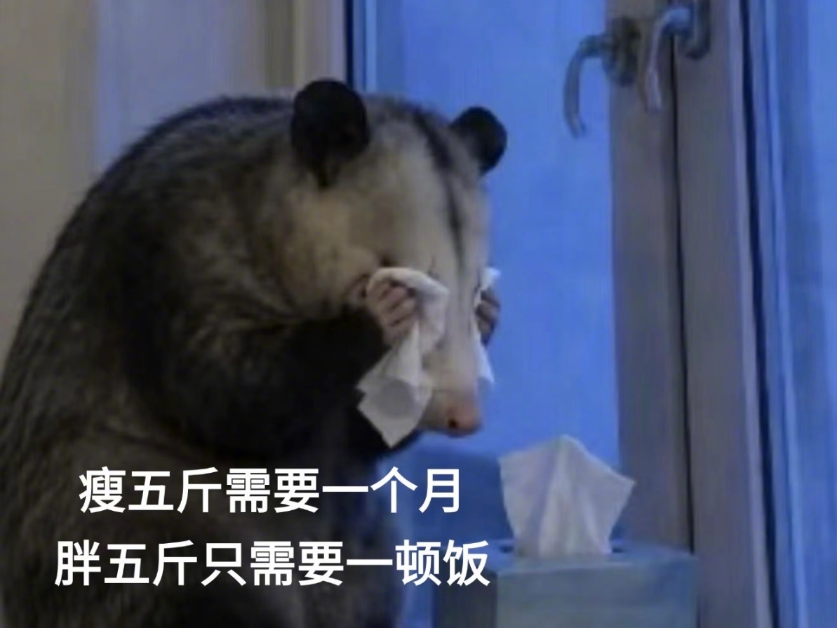 一旦开始减肥就觉得什么都好吃……[苦涩] ​​​