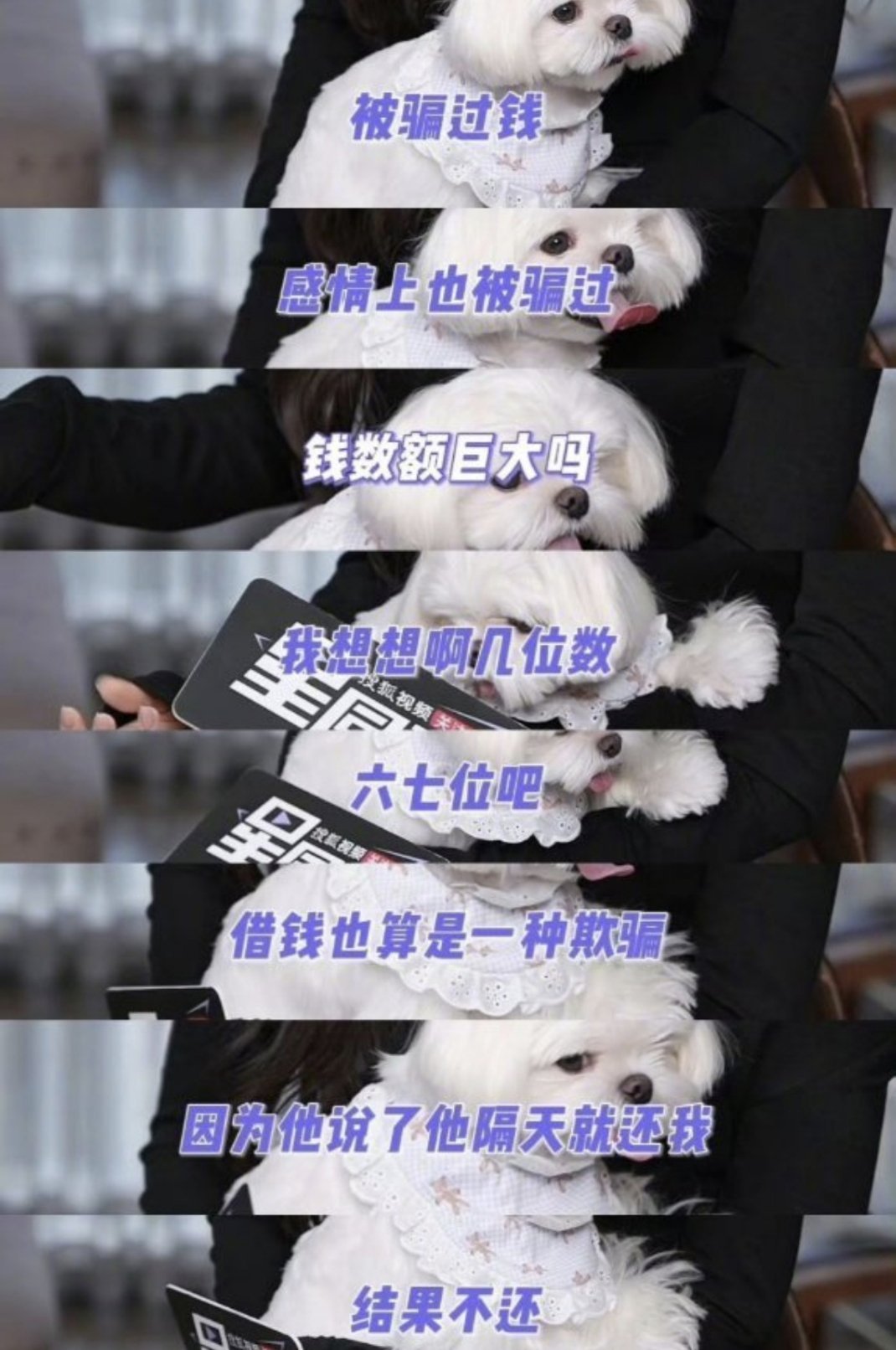 #李一桐自曝被骗金额达六七位数#对方为熟人，以“隔天就还”的口头承诺借款，她出于信任出借，最终对方食言，钱款无法追回，她认为“借钱也算是一种欺骗” ​