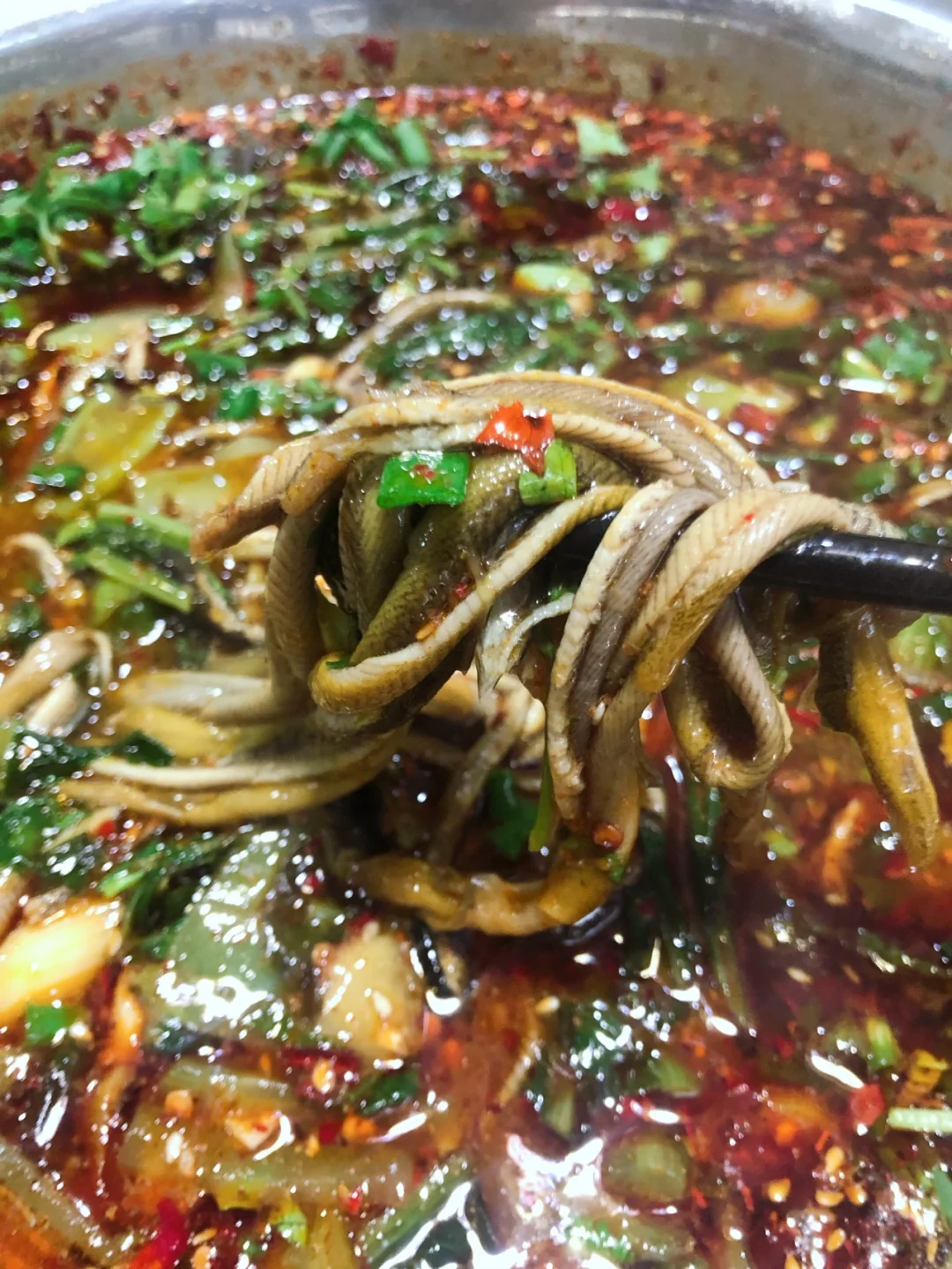 还在开车去临江吗？乐山市中心就有正宗鳝丝