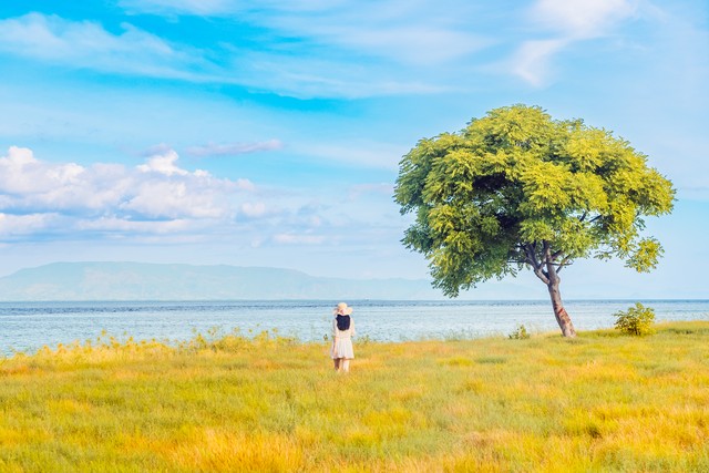别高估关系，别低估人心：成年人的分寸感，是最高级的清醒！