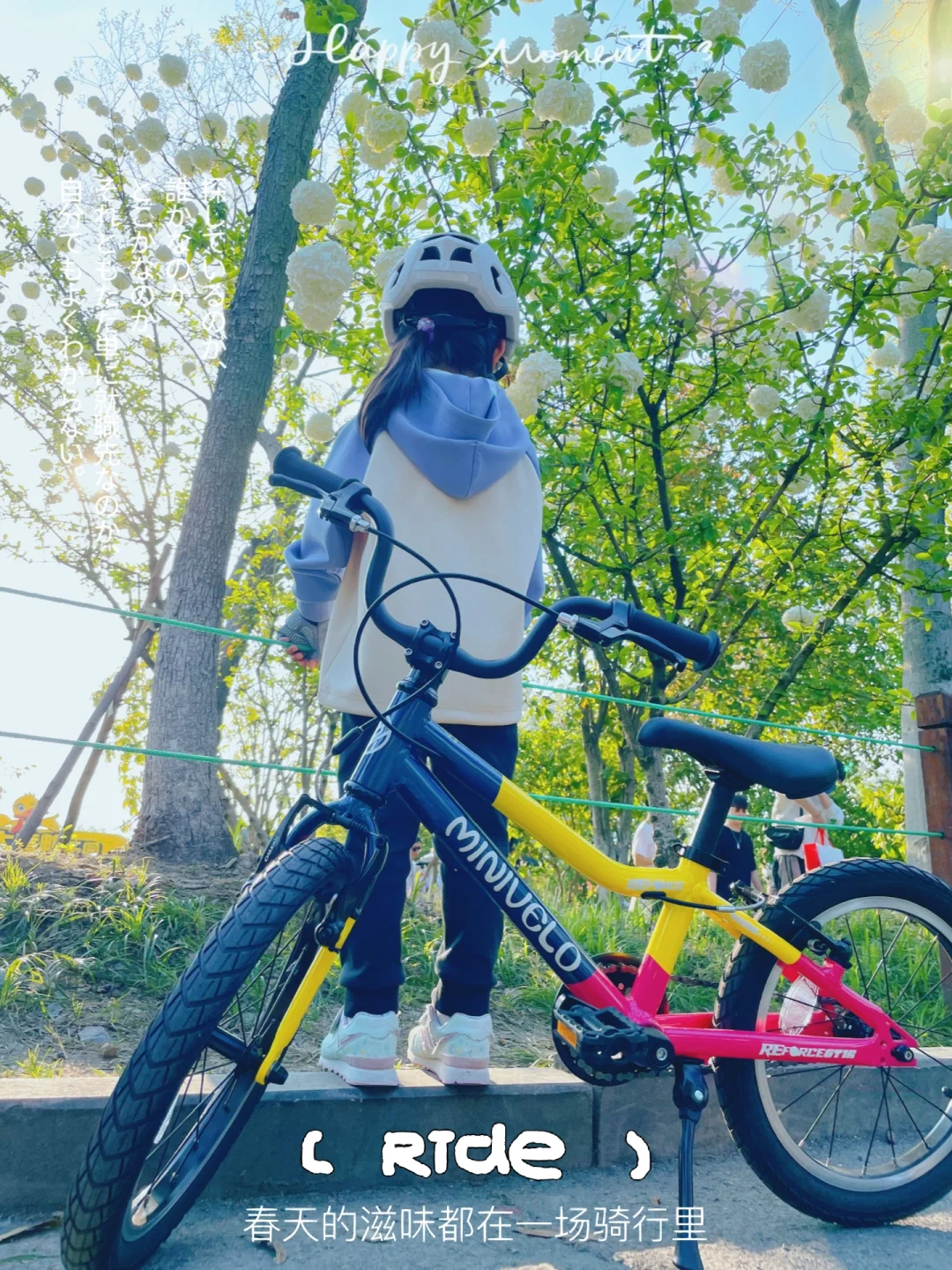 骑车去春游｜抽空去湘湖打卡了“顶流”木绣球