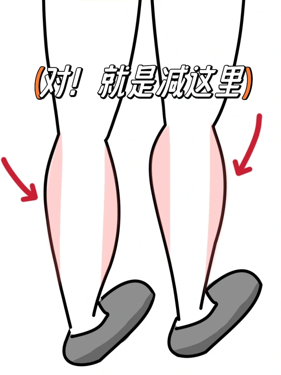 今天减这里！轻松减小腿