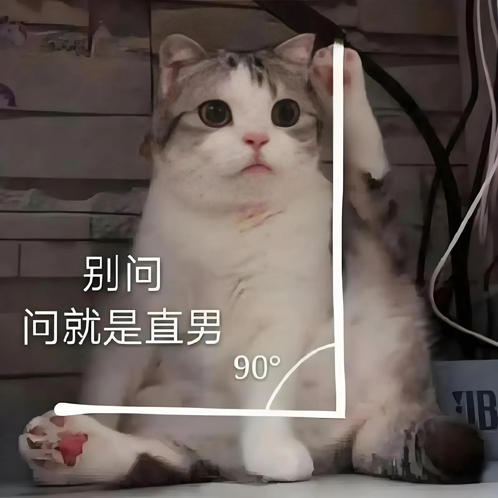 喜欢上一个直男，像在解一道“无解方程”——他的逻辑清晰，却读不懂你的潜...