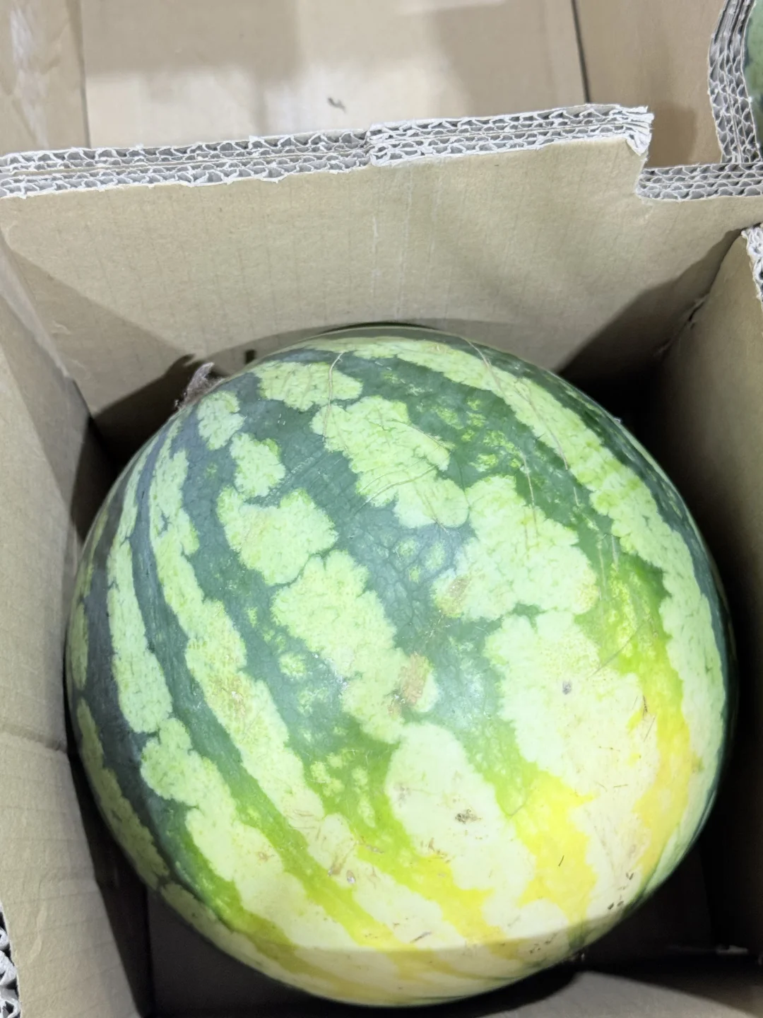 喜欢这个大西瓜
