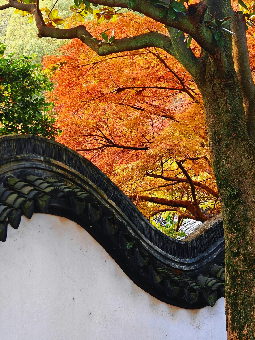 苏州园林遗珠 | 真山真水的东山启园