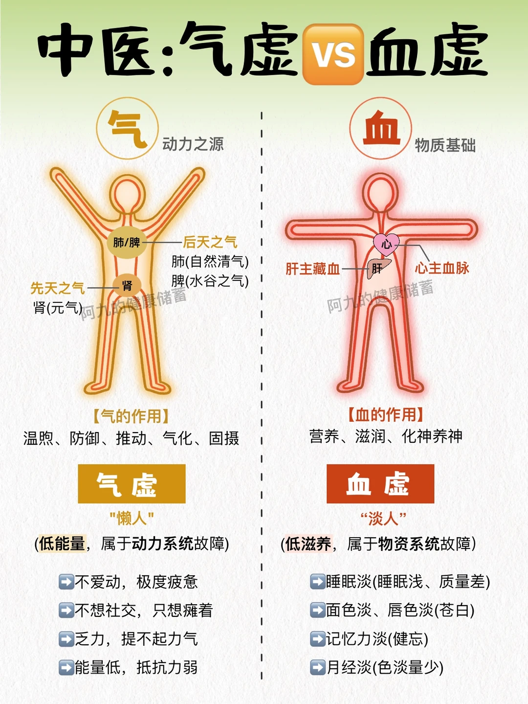低能量可能是气血余额不足！超全养气血清单