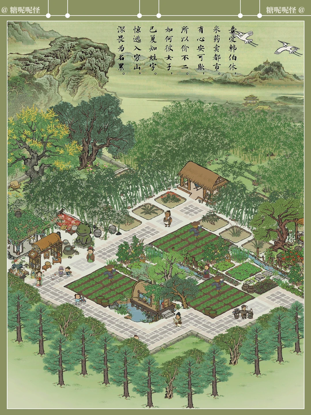 翠竹园中药草香｜宁可食无肉，不可居无竹