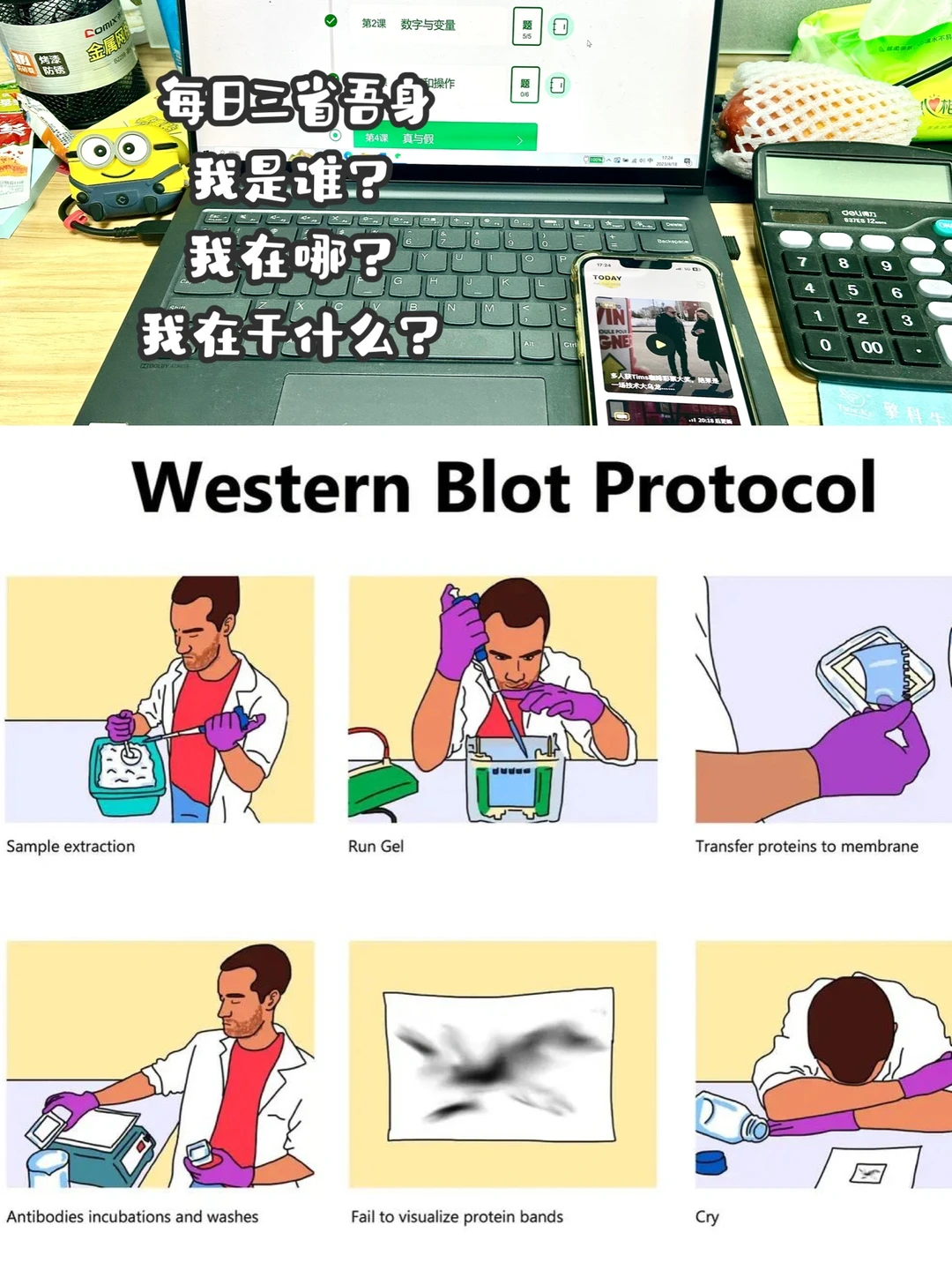 Lab’s life ｜True story😫