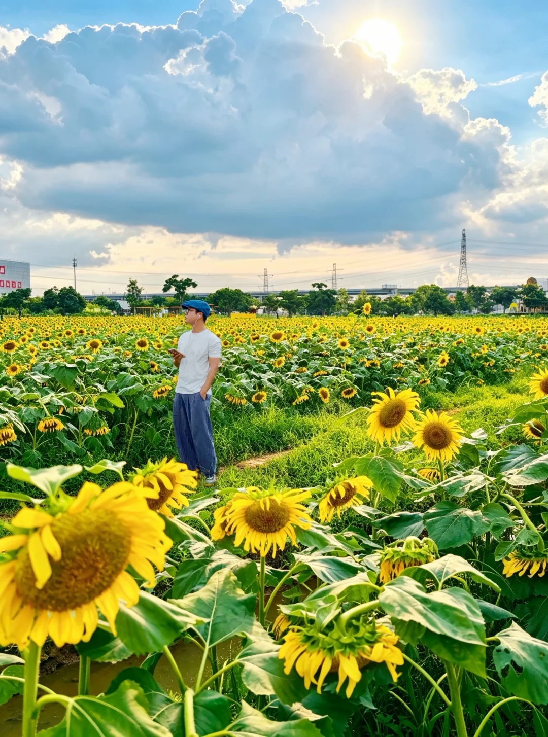 广州东涌｜走进梵高油画世界🌻0元拍夏日大片