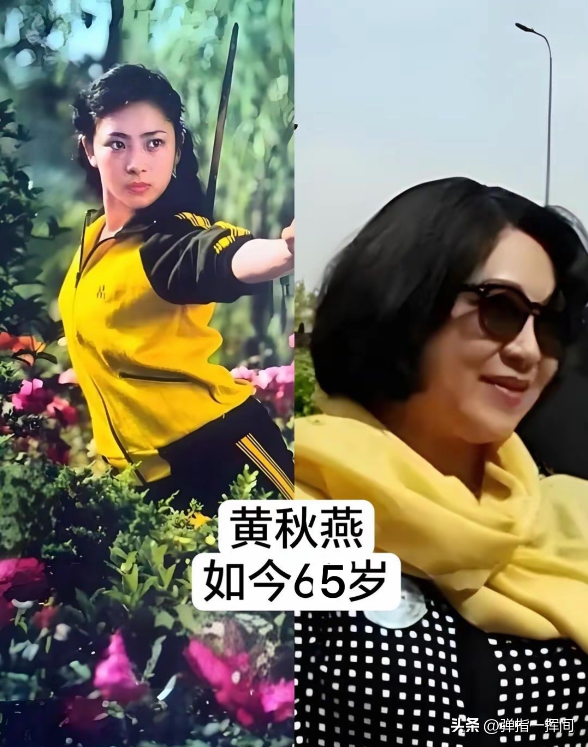 17位老牌武打女星今昔对比
江湖侠女终抵不过岁月

还记得港片黄金年代里，
那些不靠替身、
亲自上阵的武打女星吗？
眼前这17位，
每一位都在荧幕上留下飒爽身影。
郑佩佩、萧芳芳是老一辈武打片的开山人物，
杨紫琼、惠英红凭着一身硬功夫闯荡影坛，
黄秋燕、丁岚带着功夫底子惊艳荧幕，还有李赛凤、杨丽菁、