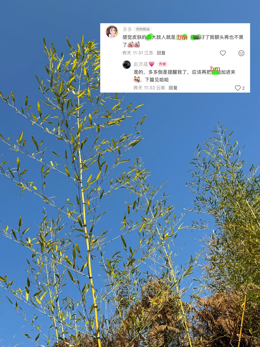 去年的老粉，额头变白了，只是用心做了这件事