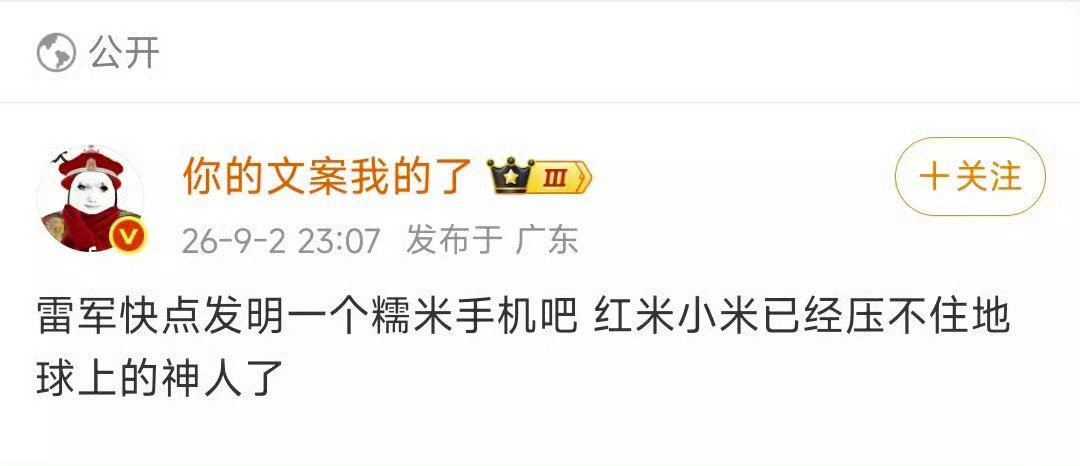 支持小米发布糯米手机 ​