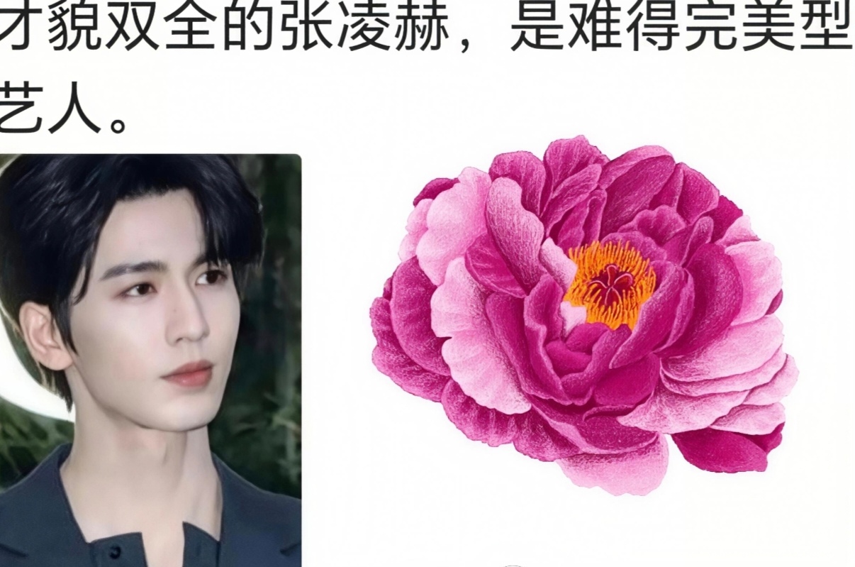 张凌赫这么努力又优秀，他值得一切美好，就算黑子们气得跳脚也根本没用。