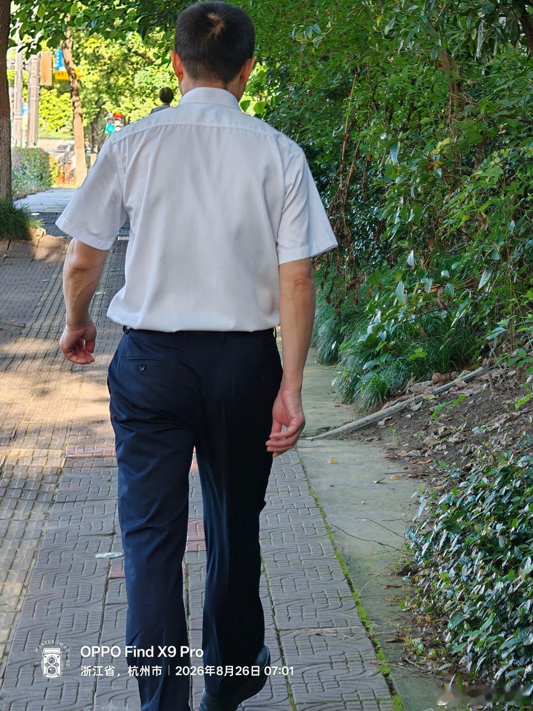 碰到了又忍不住拍了几张 ​