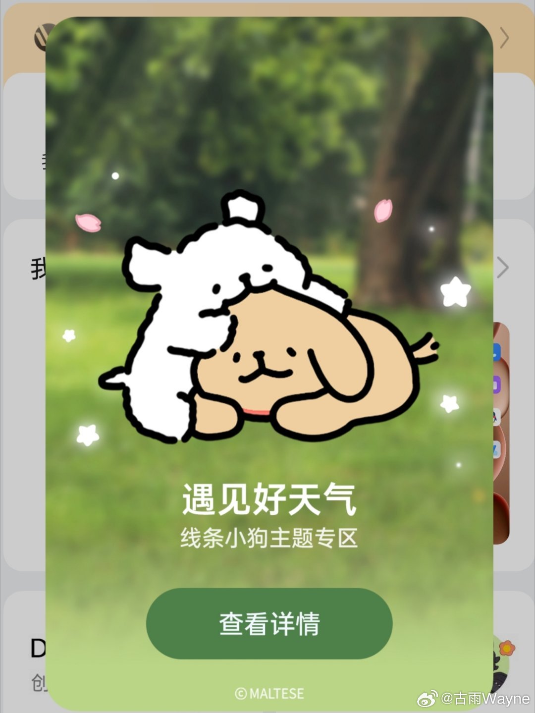 你喜欢的线条小狗
oppo 主题商店上新了 ​