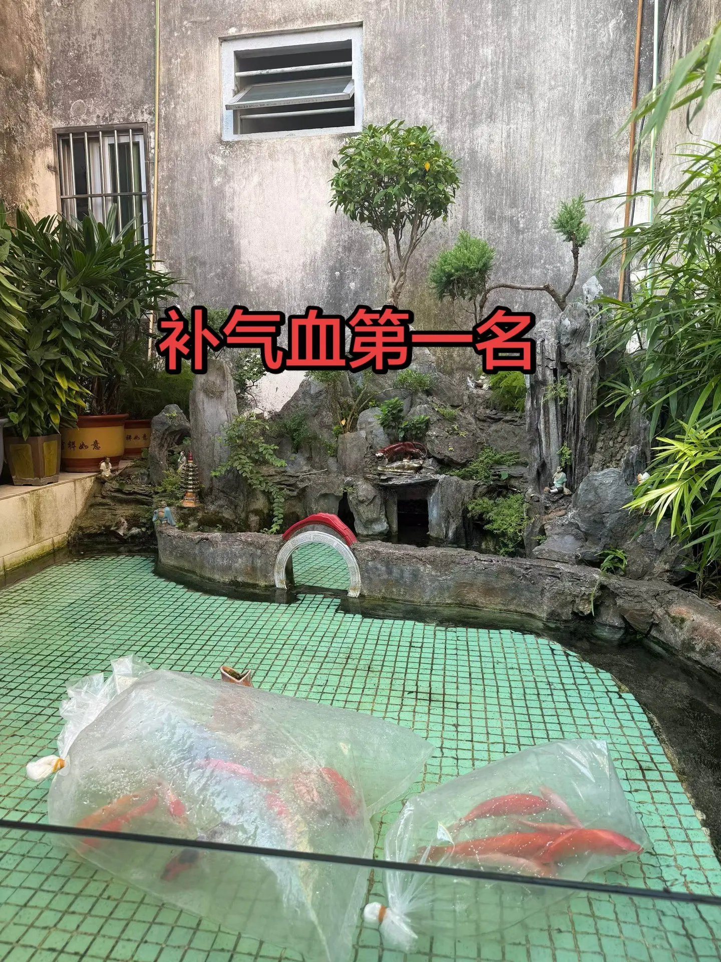 伦敦世乒赛 乒乓球比赛 国乒女团横扫日本摘金 国乒女团 胜利属于我们