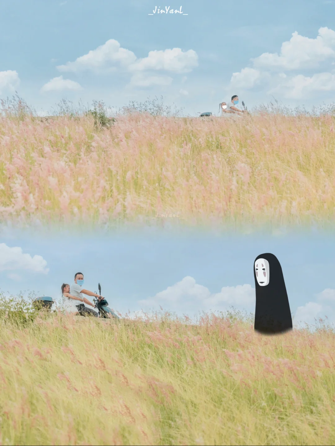 实锤了‼️厦门的秋天就是粉色的🌸红毛草山坡