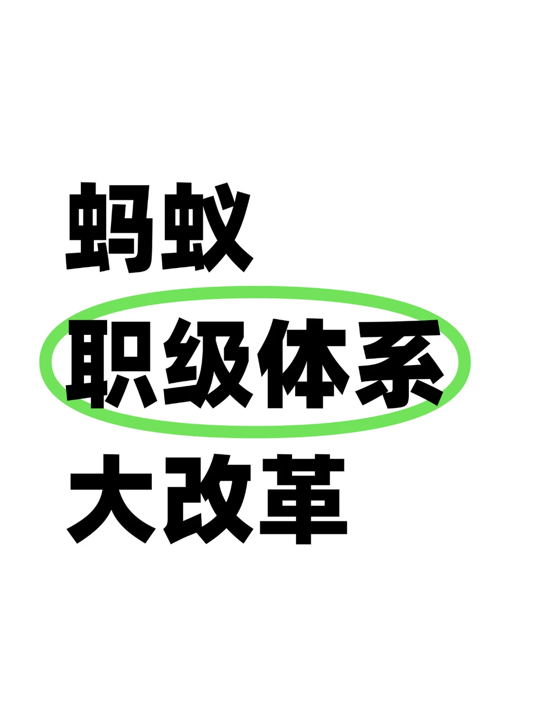 蚂蚁的职级体系迎来新调整，基层TL没法躺了