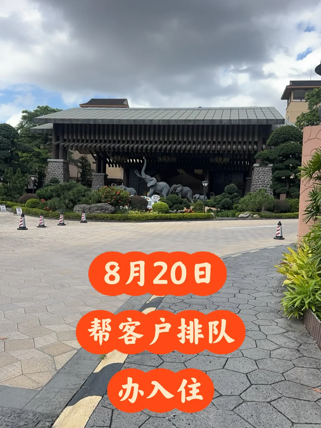 长隆野生动物世界8月20日导游带玩