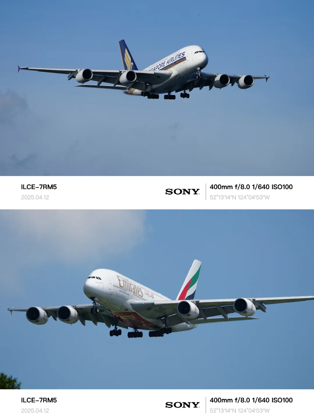 索尼第一支800mm镜头，樟宜机场震撼首秀❗