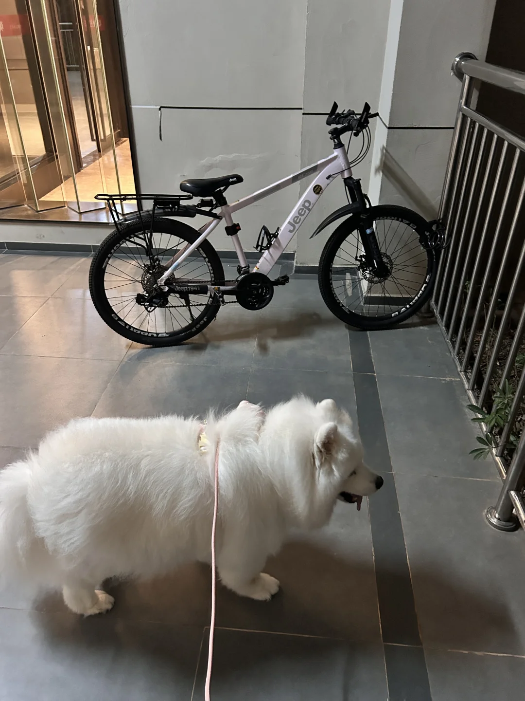 单车未必比萨摩托跑得慢