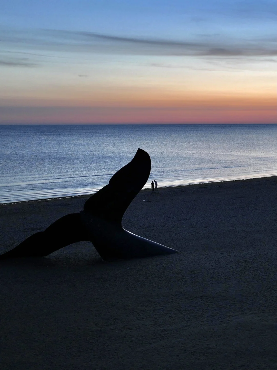 “2025收集到的治愈画面”