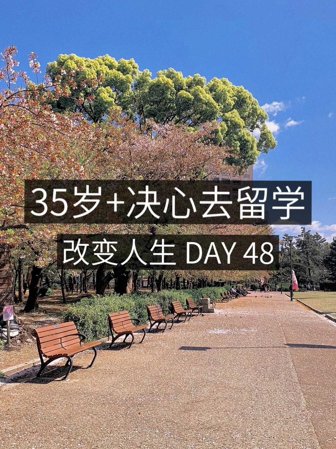 35岁+女青年留学✈️ 女 的 要 存 存 存 💰