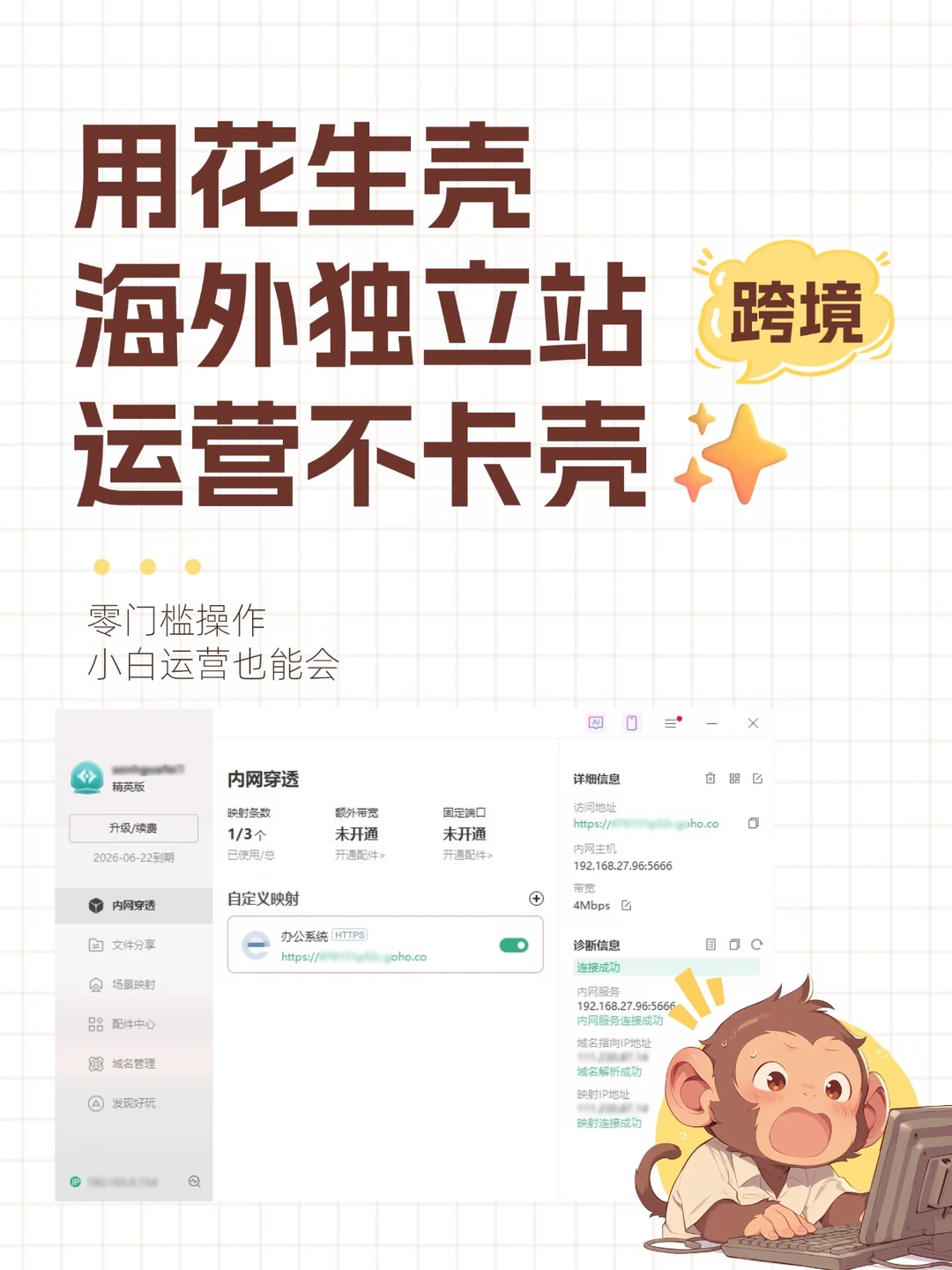 用花生壳，海外独立站运营不卡壳✨