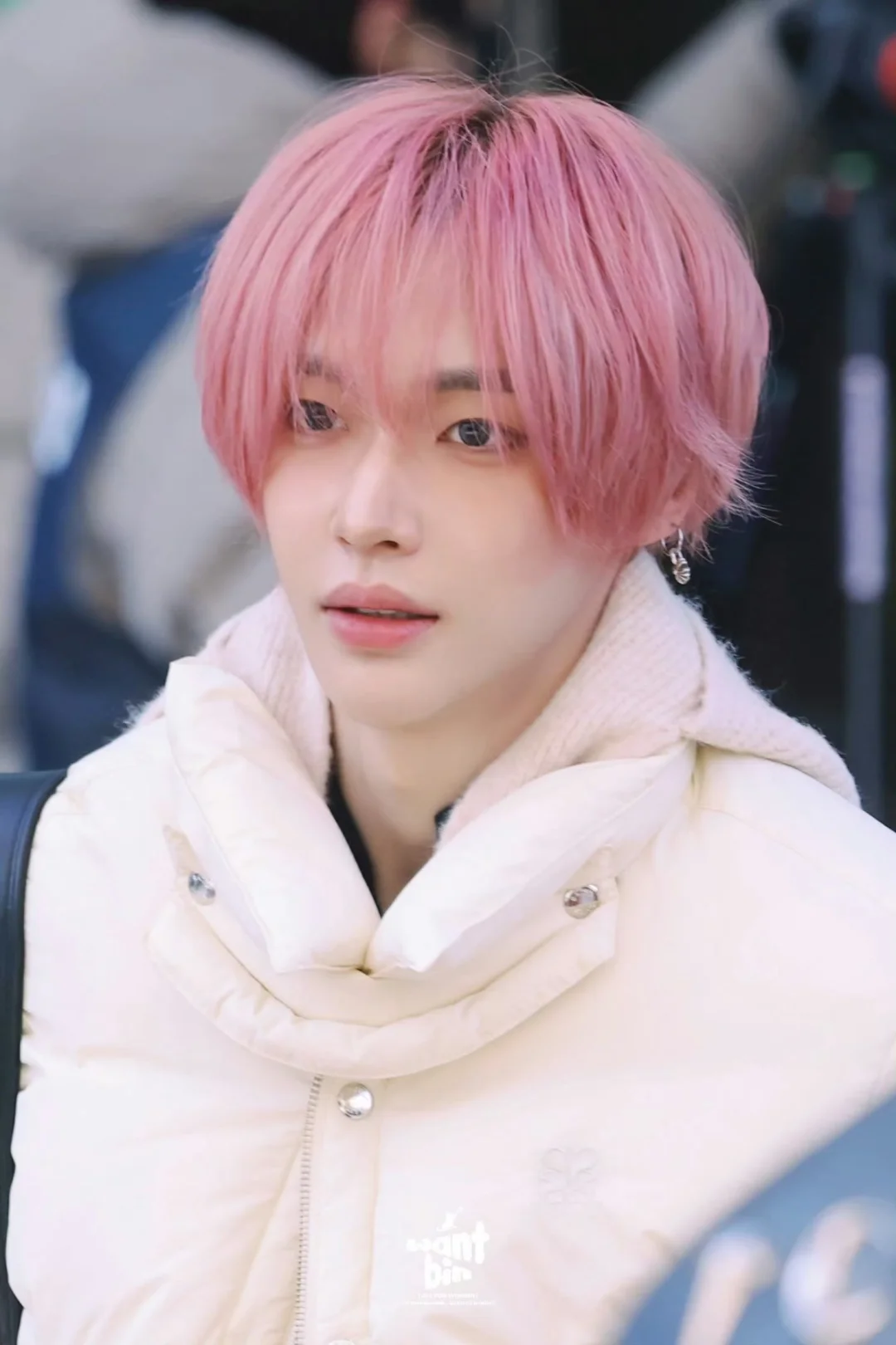 冬天也有樱花绽放