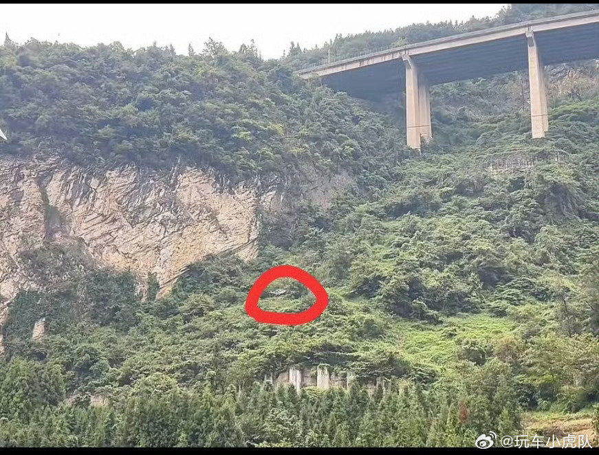 #极氪回应坠桥事故称一切只为人没事#吓死人了，60米坠落，但车够硬只是轻伤。这波吹爆极氪不过分！建议这车残骸车企快买回去，这种宣传我们不排斥，放发布会上反复观赏[酷] ​