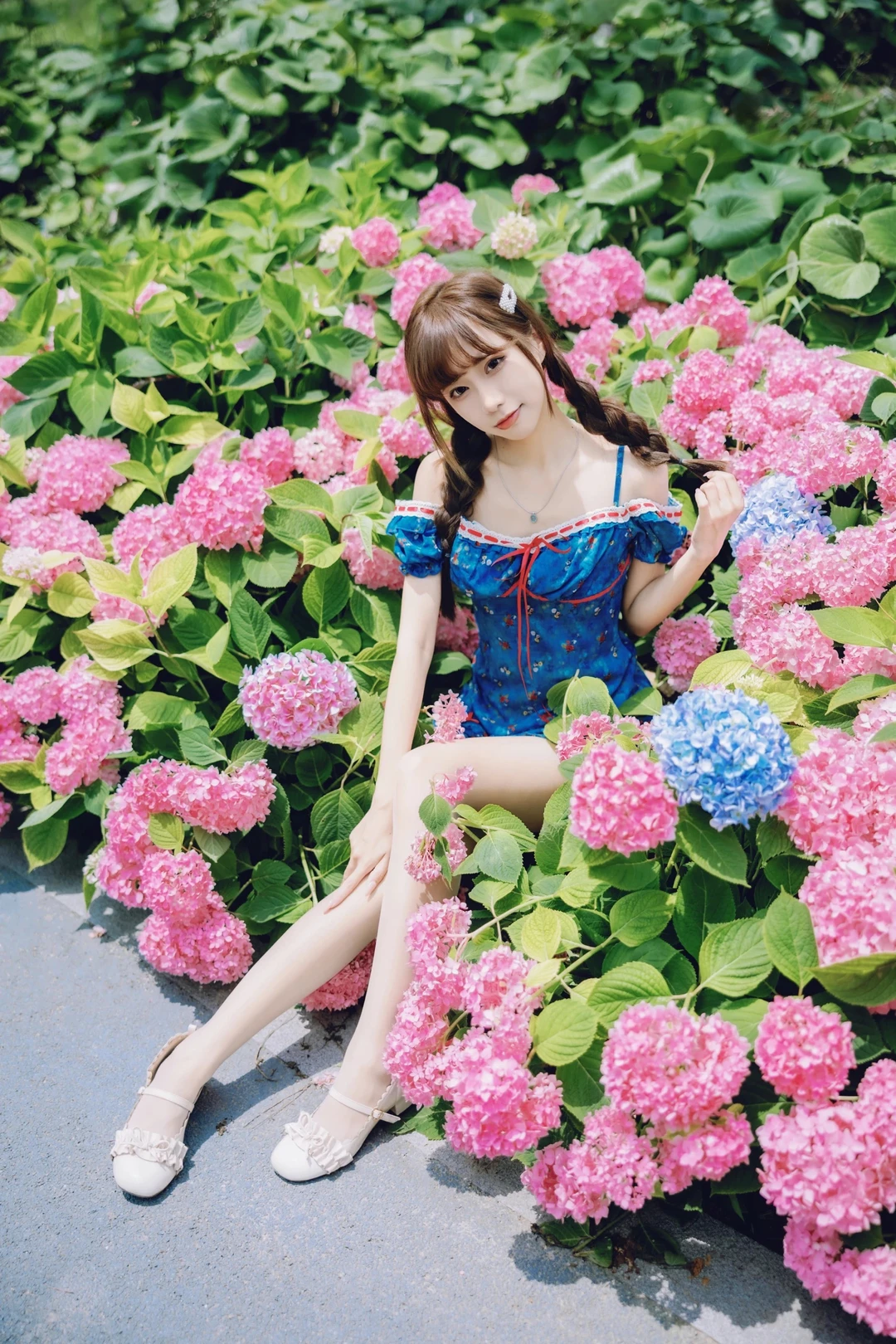 是绣球花的夏天🩷