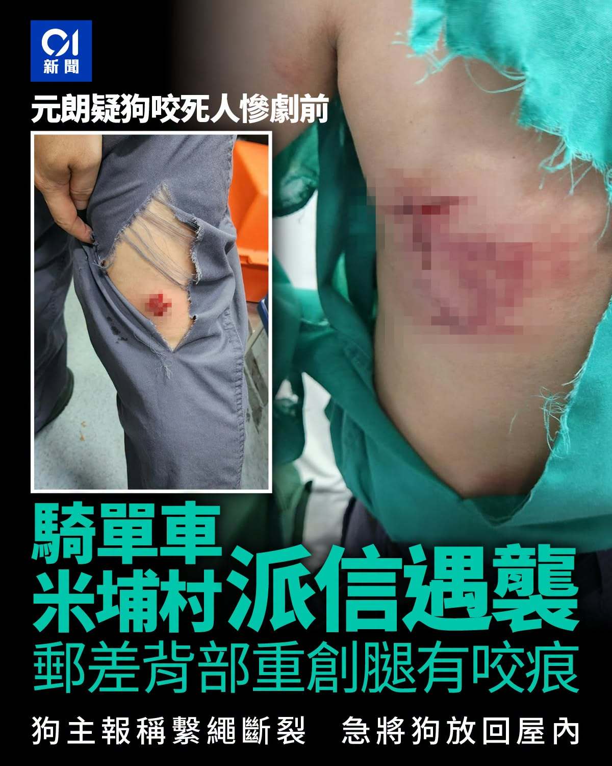 一名44岁姓莫男邮差，9月18日在元朗米埔被一只狗袭击。造成背部左侧、及右小腿后侧关节流血，受伤邮差随即报警。警方到场调查后，找到姓黄76岁男狗主，有人声称，狗只原先被用狗只牵引绳系于一间屋的后巷，但事发后发现该绳已经断裂。事件发生后，狗主已将狗带至屋内安置。受伤邮差由救护车送往北区医院治疗，警方将案件列为「狗只咬伤」处理，警方已即场通知渔护署，并将转介至渔护署跟进事件。