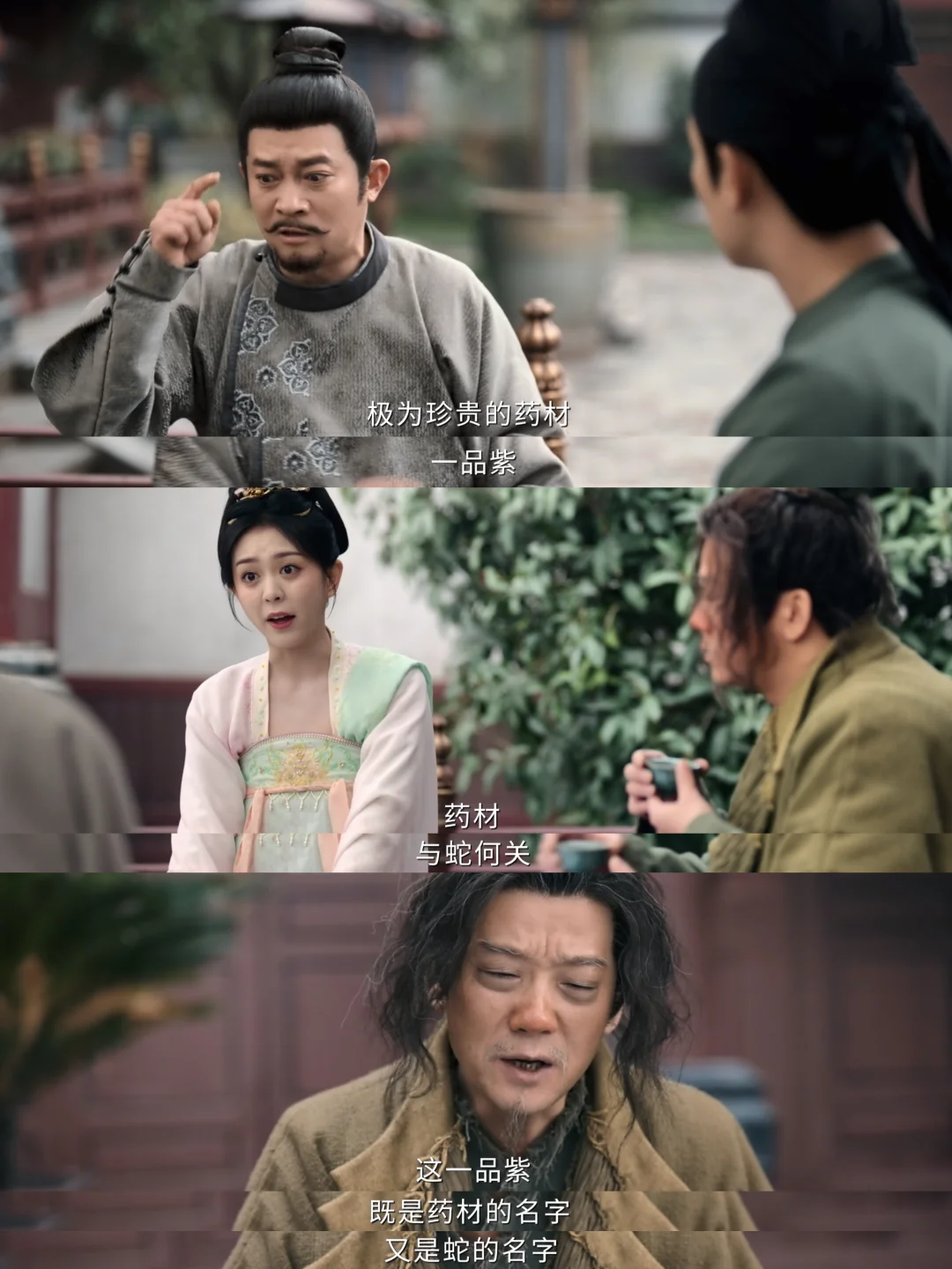 展开说说一品紫