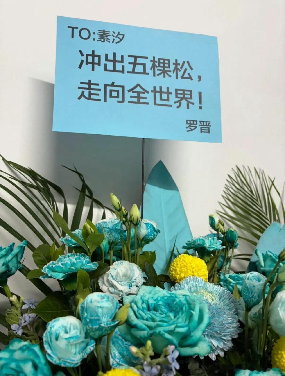 这个祝福语也很罗晋了[笑cry] ​