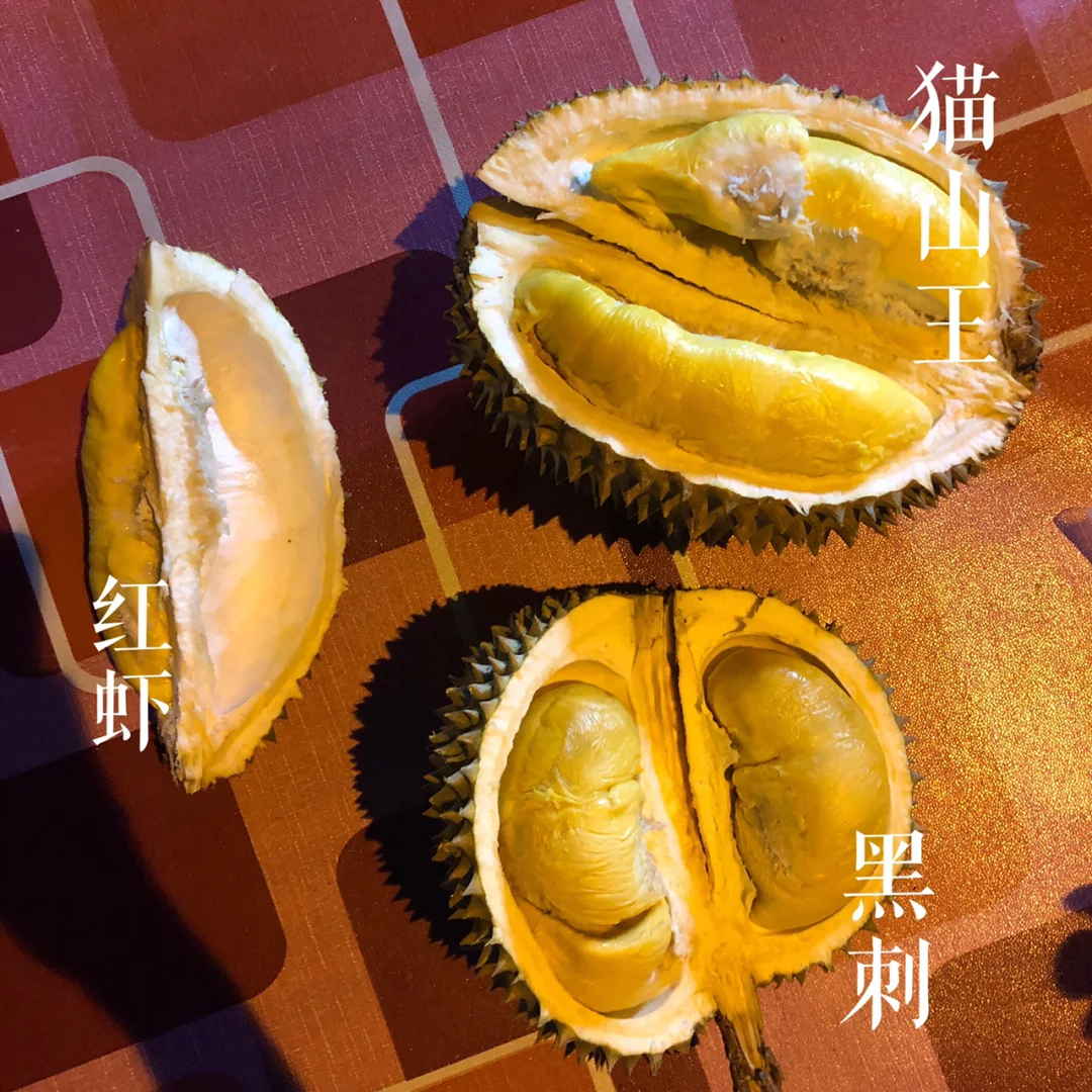 到马来西亚🇲🇾一定要吃的顶级榴莲黑刺