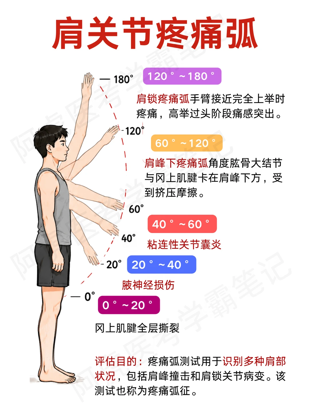 阿虎医考笔记📒肩关节疼痛测试❤️