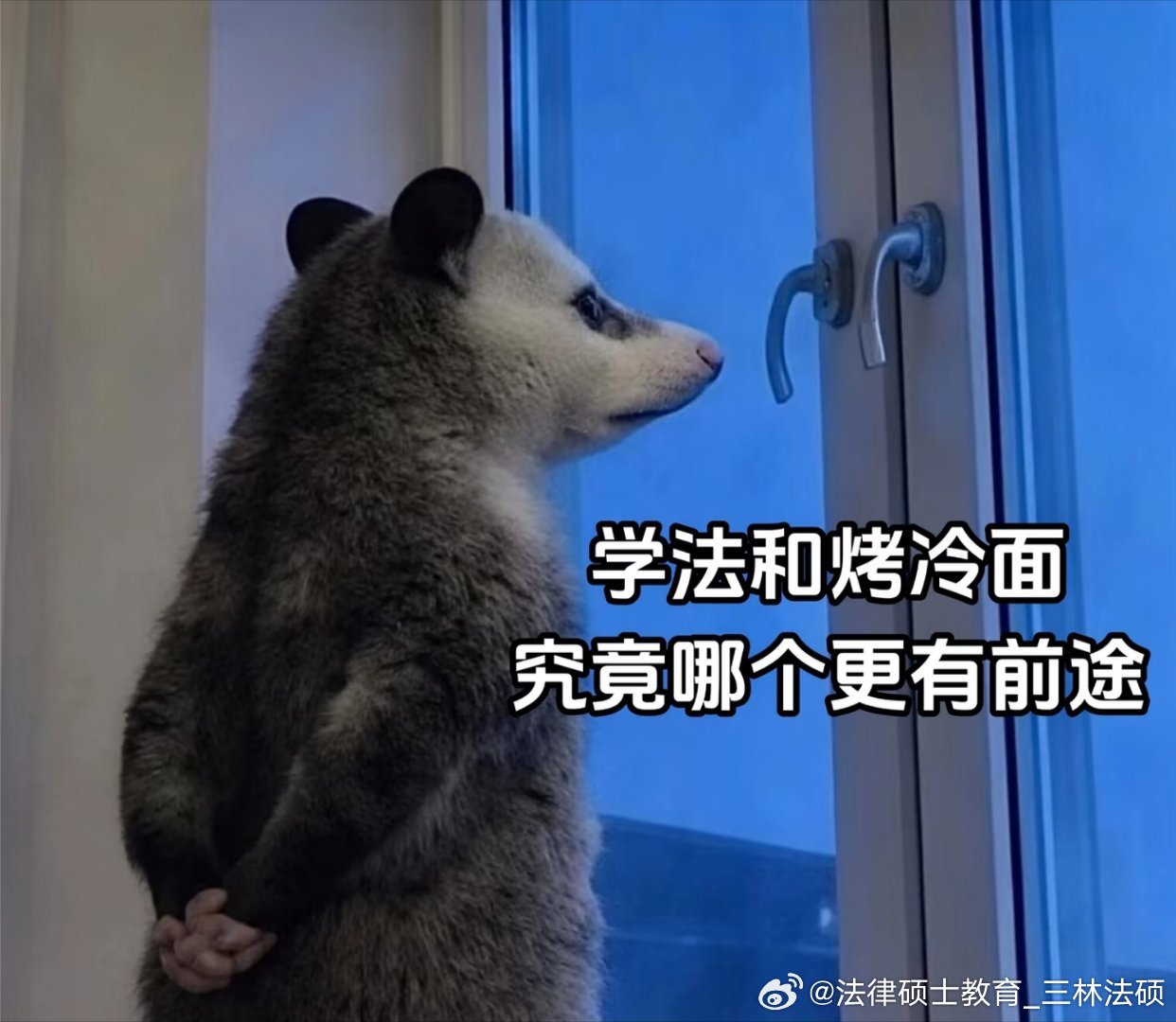 学法硕到底好不好就业？有哪些就业方向？作为你的法硕备考搭子，今天直接为你揭秘法硕的四大核心就业方向，干货满满，建议收藏！

1. 律师事务所：这是最典型的去向。红圈所或一线大所应届生年薪可达25-40万，但前期案源积累压力大。理工科、财会、外语背景的同学，在知识产权、金融证券、涉外非诉等领 ​