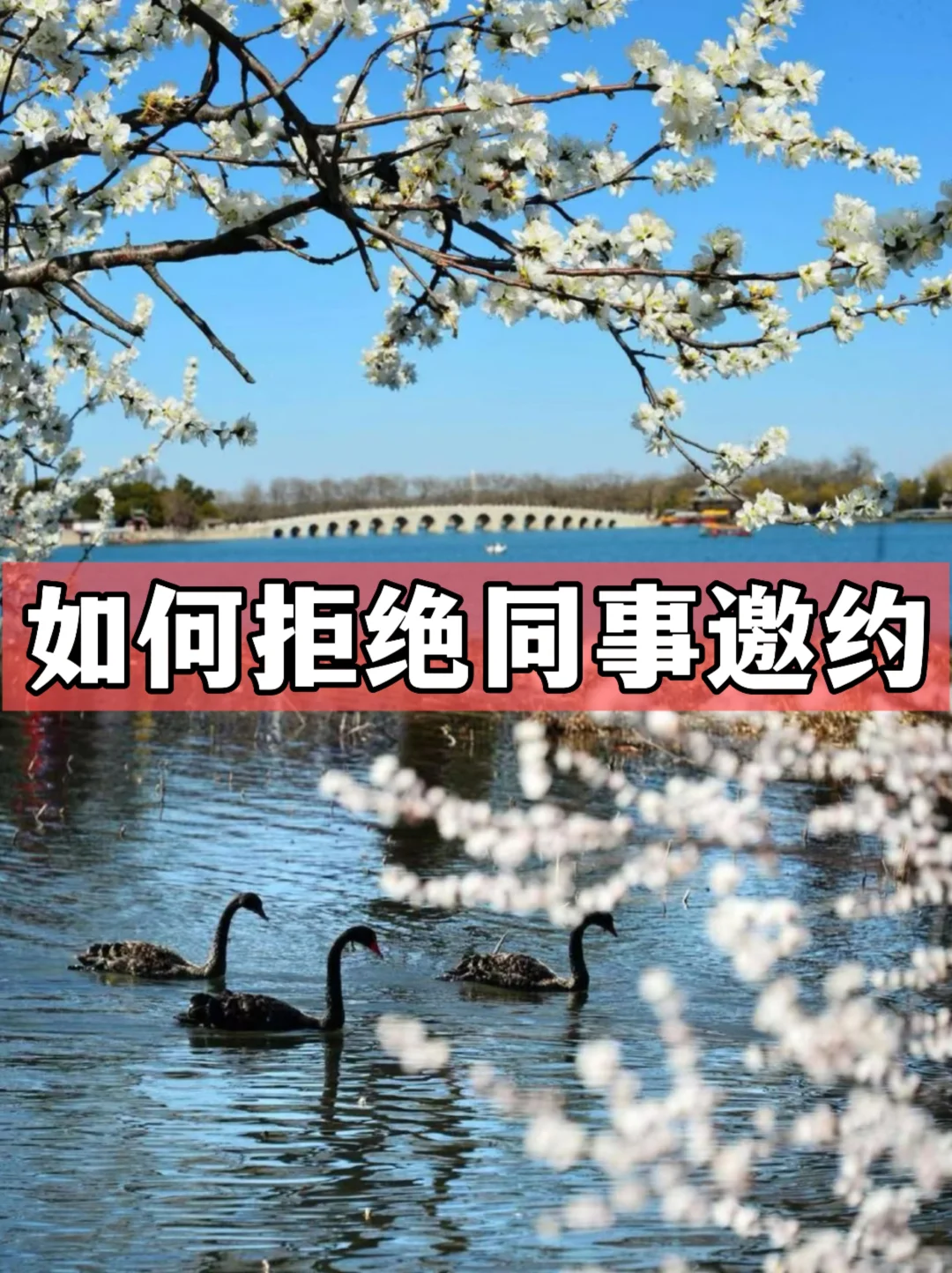 体制内：如何拒绝同事邀约